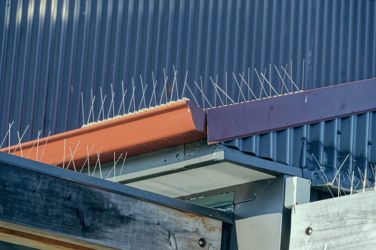 Bird proofing