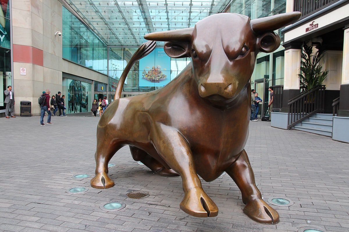 Birmingham Bullring - Pest control West Midlands