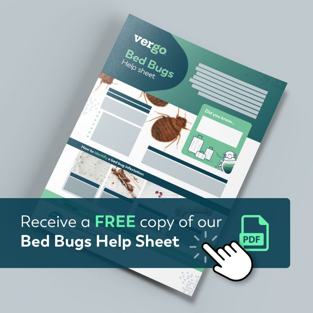 Bed Bugs Help Sheet PDF