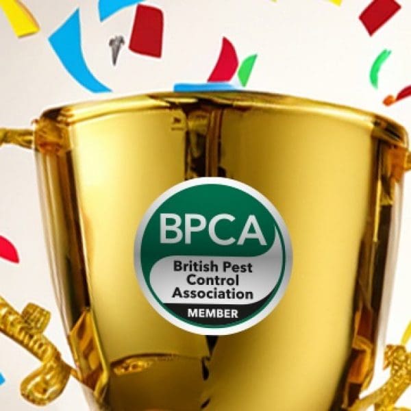BPCA award winner