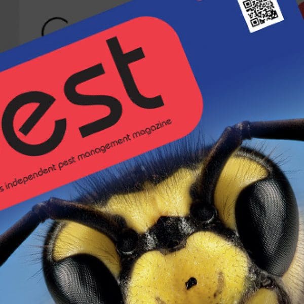 Pest Magazine