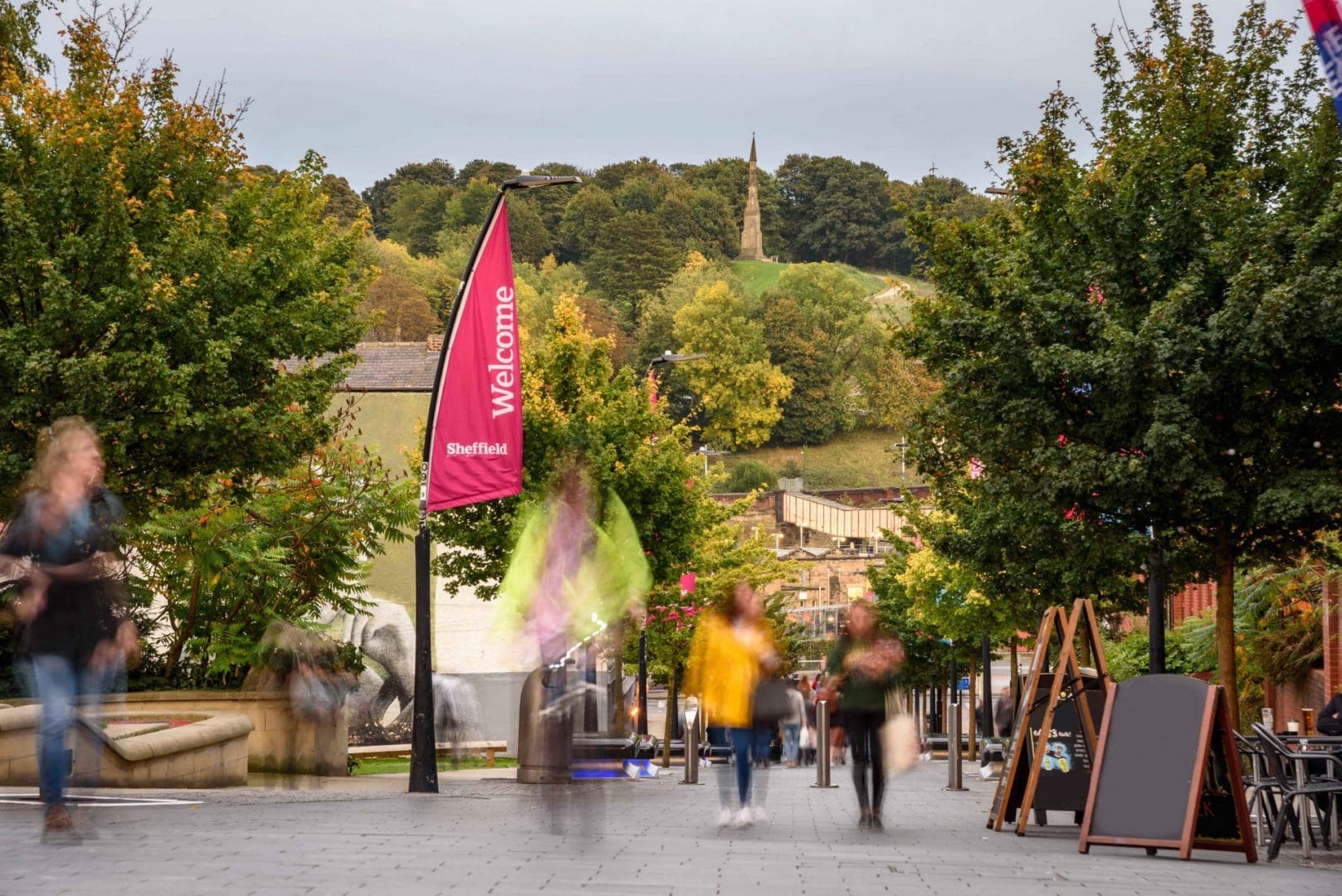 Sheffield Yorkshire pest control