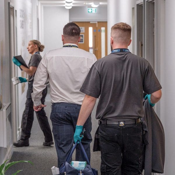 Commercial pest control