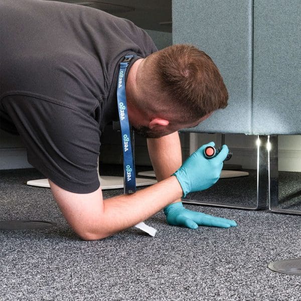 Residential pest control